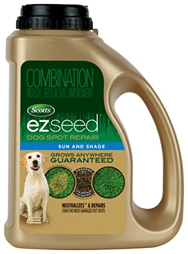 Best Grass for High Traffic Dogs And Shade