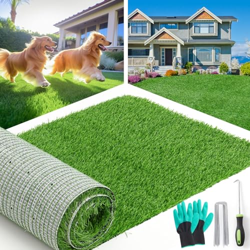 Best Grass for Yard With Dogs