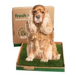 Best Grass Patch for Dogs