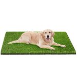 Best Grass Pee Pads for Dogs