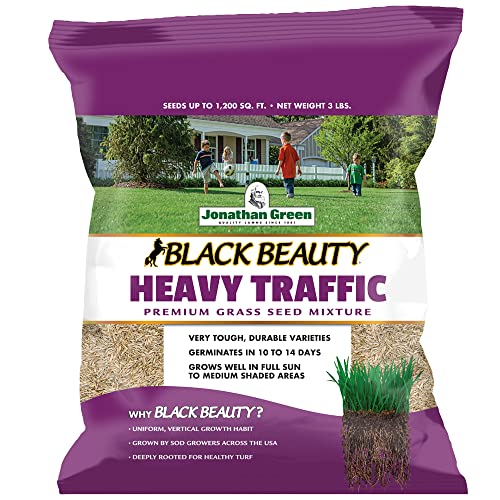 Best Grass Seed for Dog Traffic