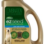 Best Grass Seed for Dogs