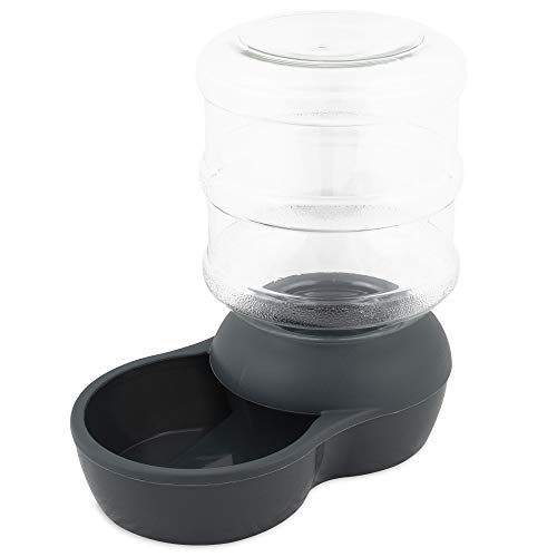 Best Gravity Water Bowl for Dogs