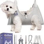 Best Grooming Places for Dogs