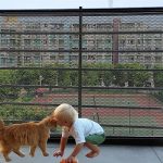 Best Guard Dogs for Kids