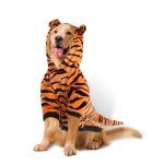 Best Halloween Costumes for Large Dogs