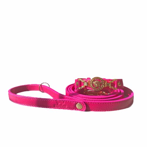 Best Handmade Leather Dog Collars And Leashes
