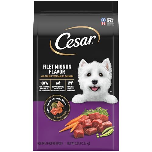 Best Hard Dog Food for Small Dogs