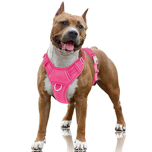 Best Harness for Boxer Dogs