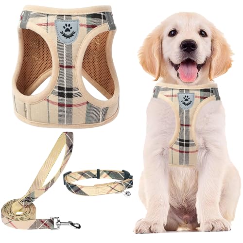Best Harness for Little Dogs