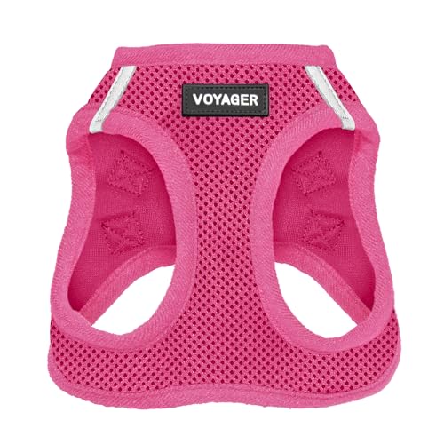 Best Harnesses for Small Dogs