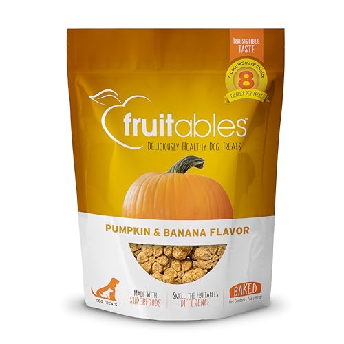 Best Healthy Training Treats for Dogs