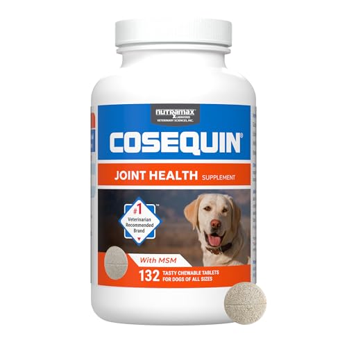Best Hip And Joint Supplements for Large Dogs
