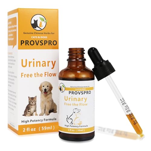 Best Homemade Dog Food for Struvite Bladder Stones