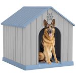 Best House Dogs That Dont Shed