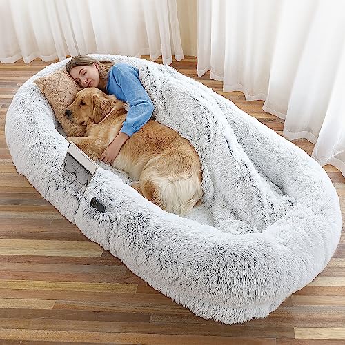 Best Human Dog Bed for Adults