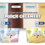 Best Ice Cream for Dogs