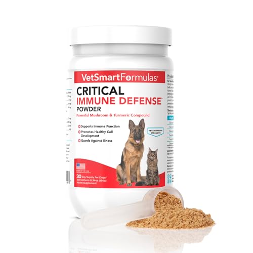 Best Immune System Booster for Dogs