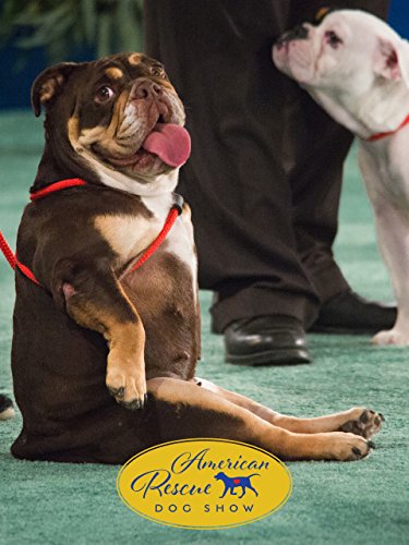 Best in Rescue Dog Show 2024