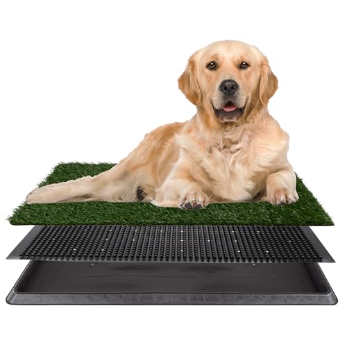Best Indoor Potty for Dogs