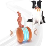Best Interactive Toys for Small Dogs