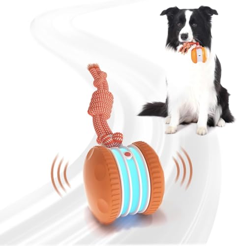 Best Interactive Toys for Small Dogs