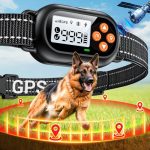 Best Invisible Fence for Big Dogs