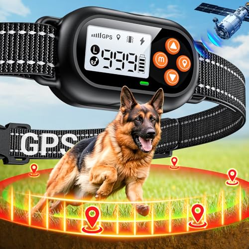 Best Invisible Fence for Big Dogs