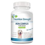 Best Iron Supplement for Dogs With Anemia