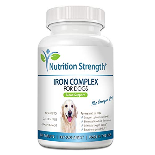 Best Iron Supplement for Dogs With Anemia