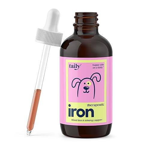 Best Iron Supplement for Dogs