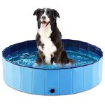 Best Kiddie Pool for Dogs
