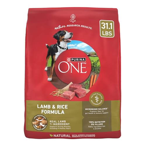 Best Lamb And Rice Dog Food