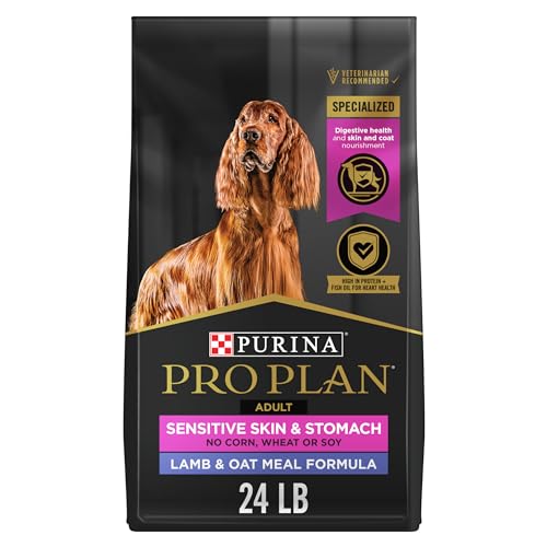 Best Lamb Dog Food for Sensitive Stomach