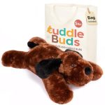Best Lap Dog for Elderly