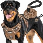 Best Large Breed Dog Harness