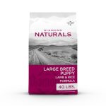 Best Large Breed Puppy Dog Food