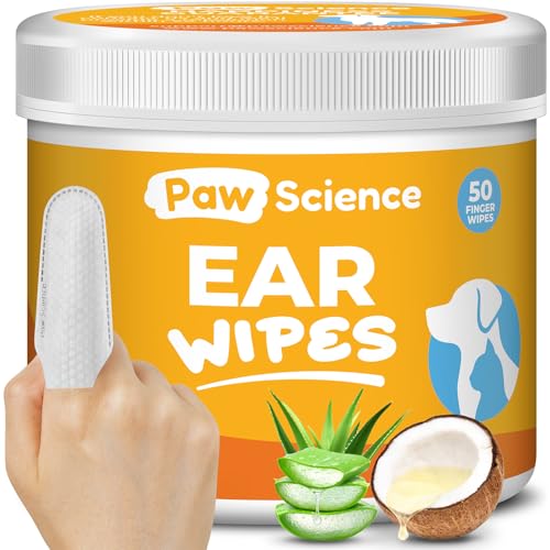 Best Large Dog Accessories