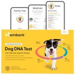 Best Large Dog Breeds for Families
