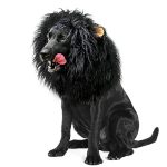Best Large Dog Halloween Costumes