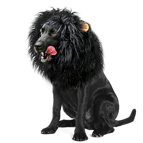 Best Large Dog Halloween Costumes