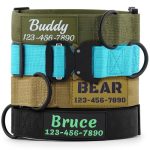 Best Large Dog Names Male