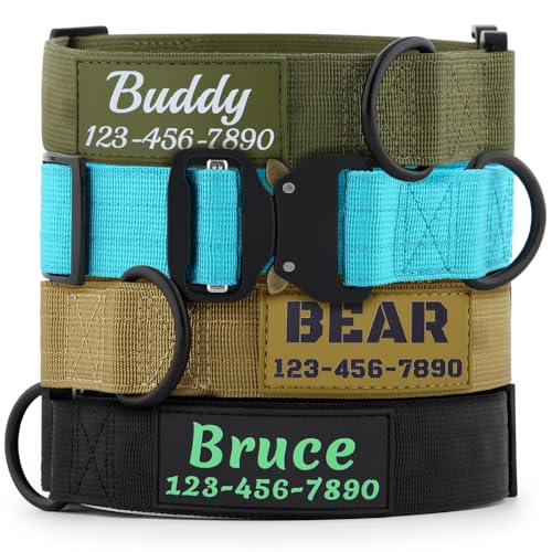 Best Large Dog Names Male