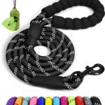 Best Leash for Large Dogs That Pull