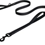 Best Leash for Reactive Dog