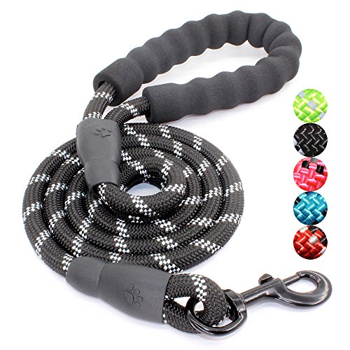 Best Leash for Strong Dogs