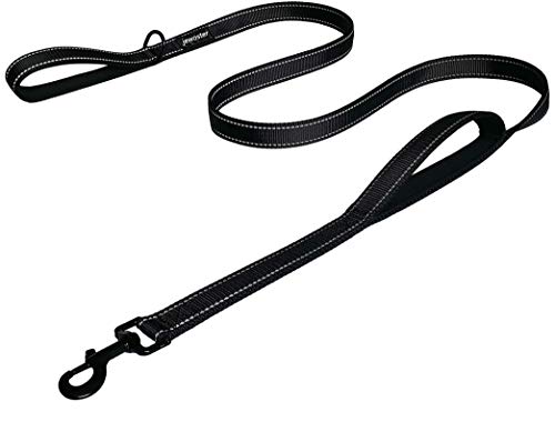 Best Leash for Training Dogs