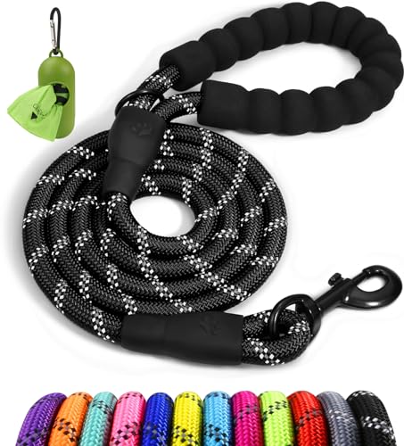 Best Leashes for Dogs That Pull