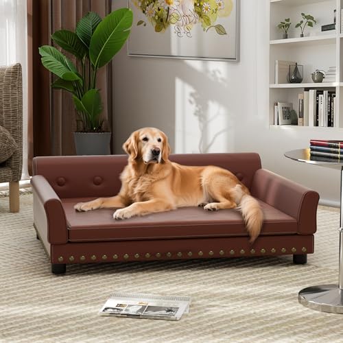 Best Leather Sofa for Dogs