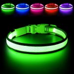 Best Light Up Dog Collar